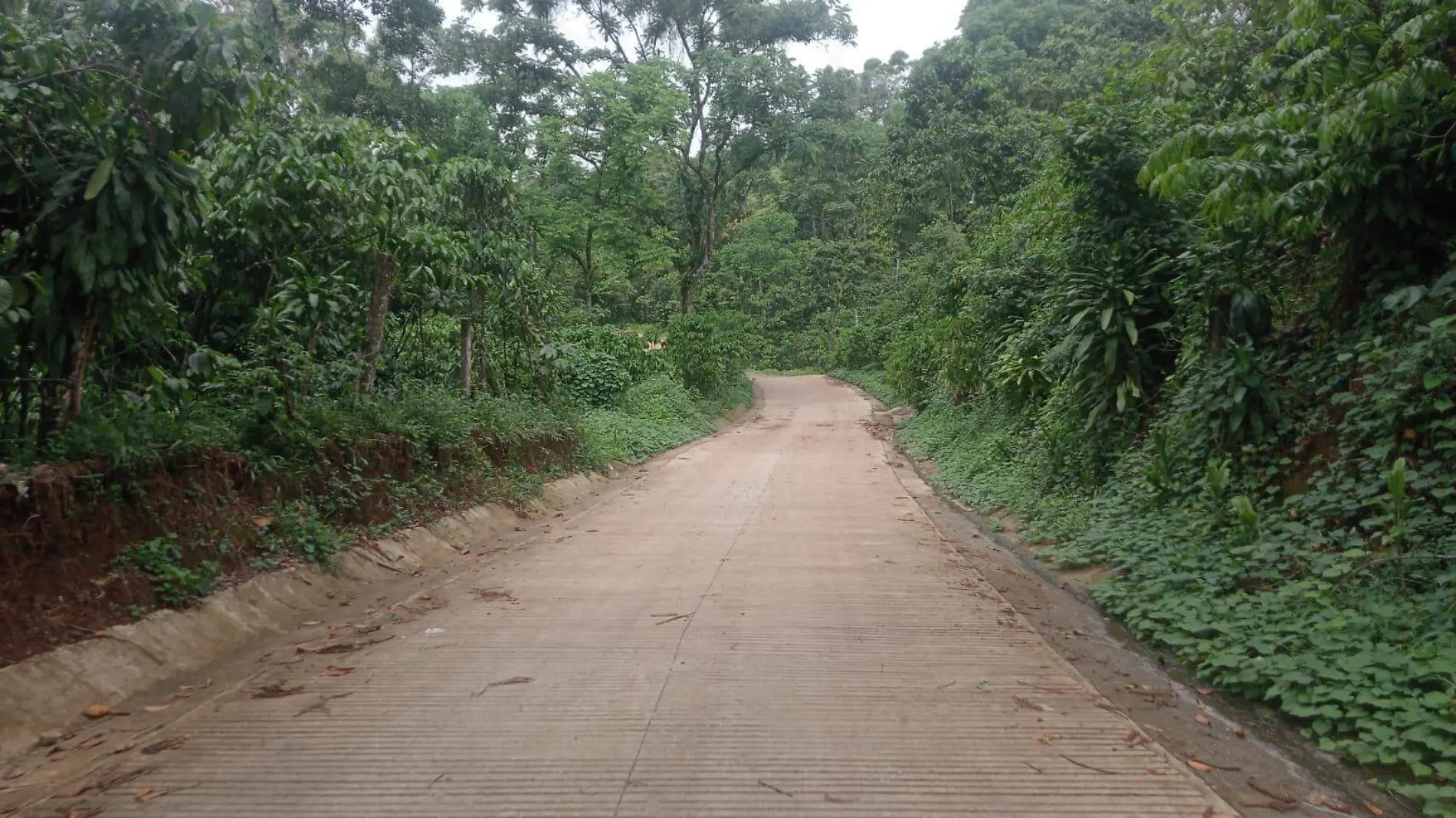 camino hacia la zona media y alta de Tapachula